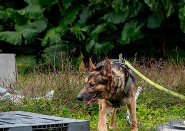 BM26: K-9 Unit dispatched after simulated attack