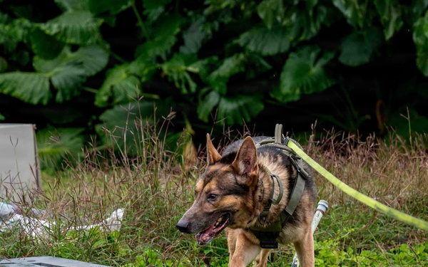 BM26: K-9 Unit dispatched after simulated attack