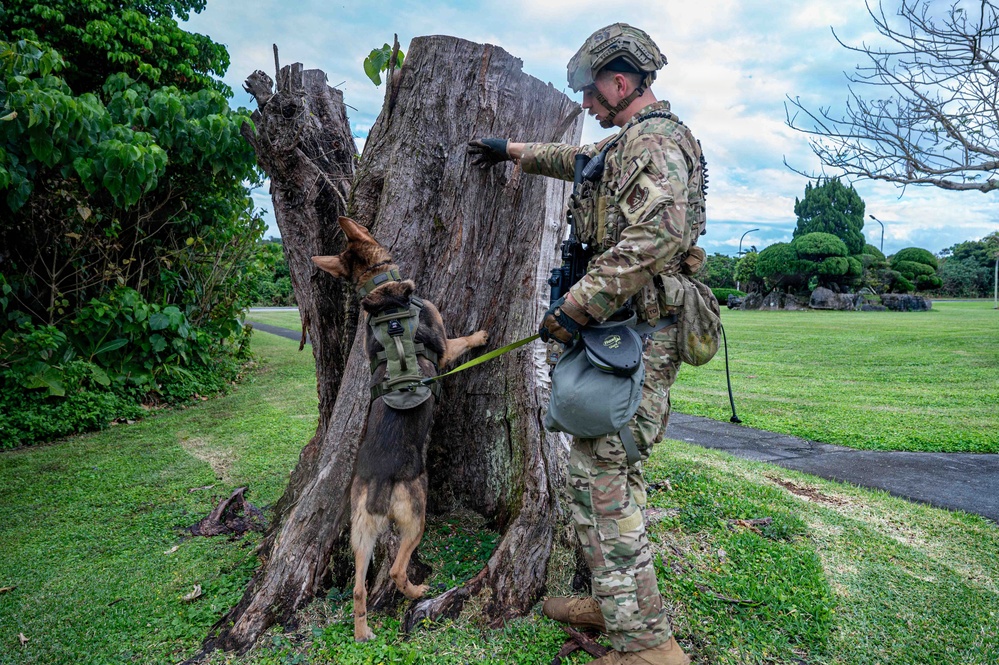 BM26: K-9 Unit dispatched after simulated attack