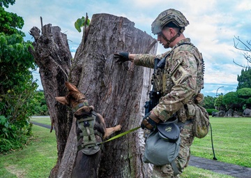 BM26: K-9 Unit dispatched after simulated attack