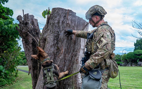 BM26: K-9 Unit dispatched after simulated attack