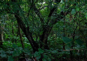 BM26: K-9 Unit dispatched after simulated attack