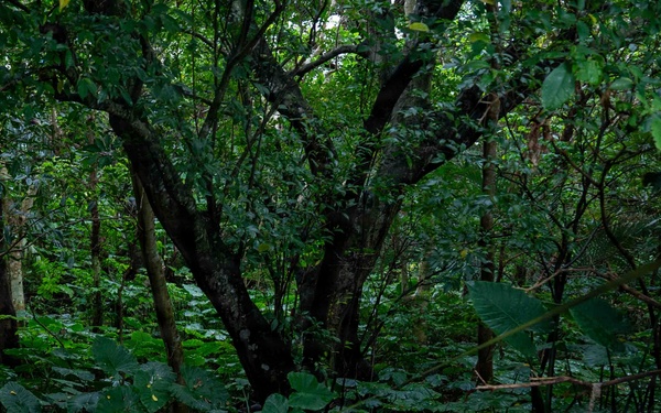 BM26: K-9 Unit dispatched after simulated attack