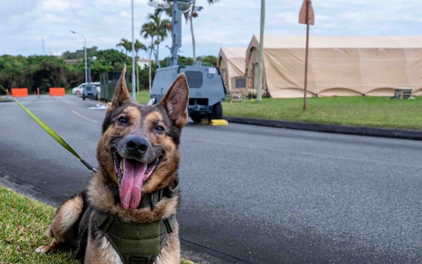 BM26: K-9 Unit dispatched after simulated attack