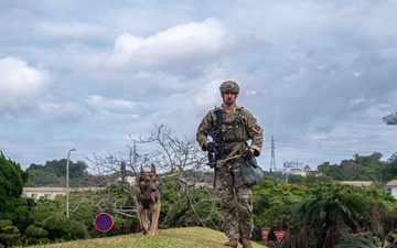 BM26: K-9 Unit dispatched after simulated attack