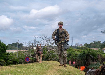 BM26: K-9 Unit dispatched after simulated attack