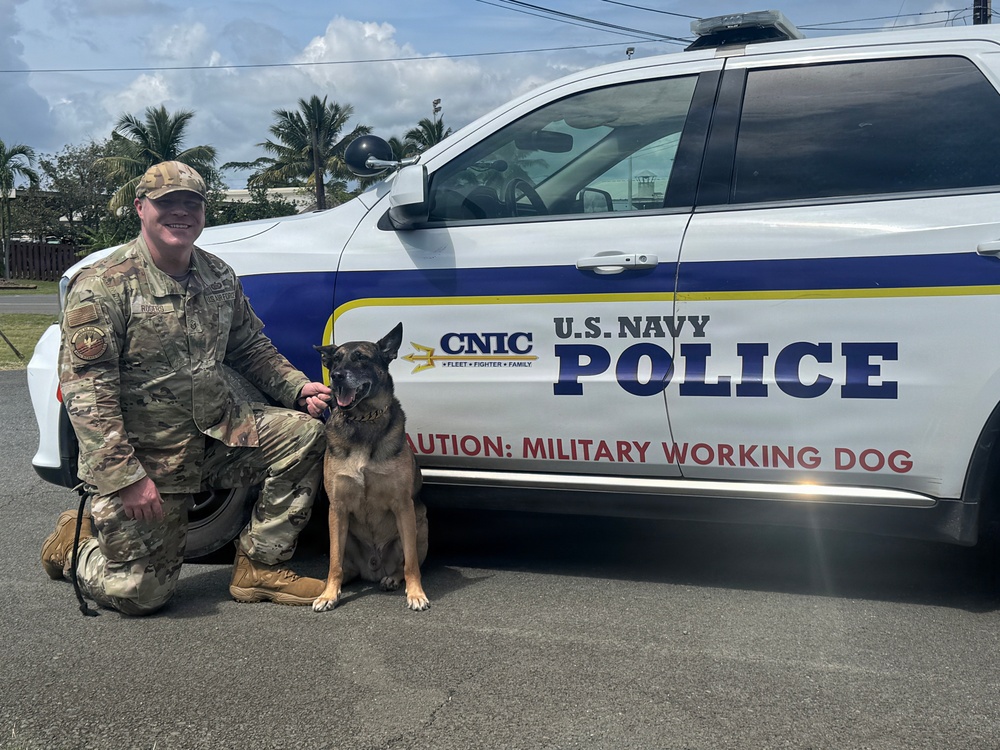 Honoring the Service of Hawaii-based Military Working Dogs on K9 Veterans Day