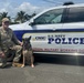 Honoring the Service of Hawaii-based Military Working Dogs on K9 Veterans Day