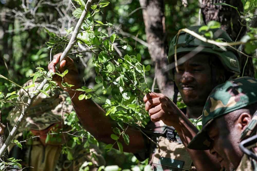 US, Tanzania train on recon and patrol techniques during JA26
