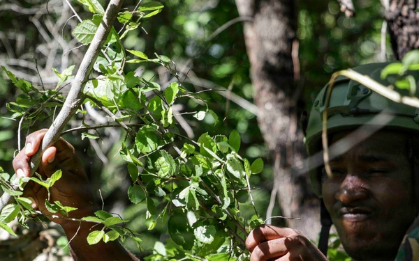 US, Tanzania train on recon and patrol techniques during JA26