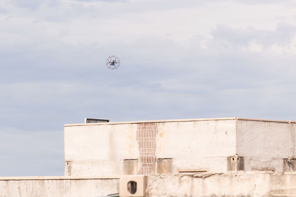 Company F 6-26 WARFEX