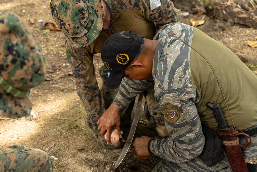 Jungle Operations Training Course - Panama: Machete techniques