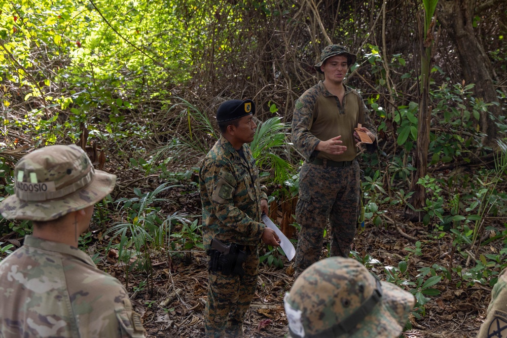 Jungle Operations Training Course - Panama: Machete techniques