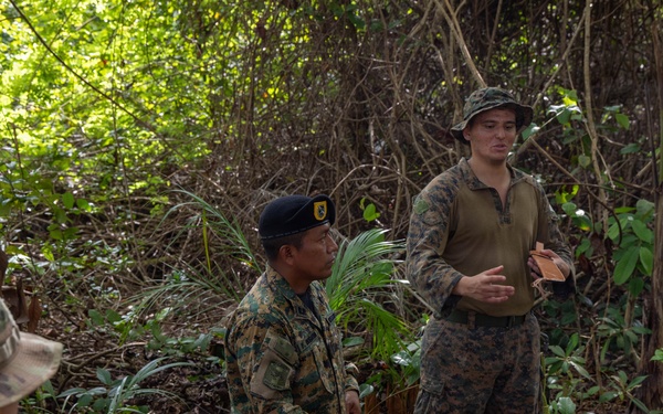 Jungle Operations Training Course - Panama: Machete techniques