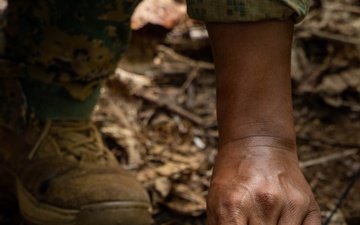 Jungle Operations Training Course - Panama: Machete techniques