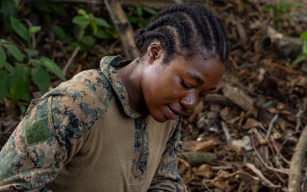Jungle Operations Training Course - Panama: Machete techniques