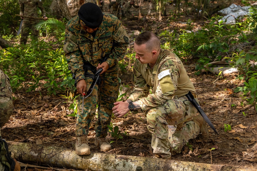 Jungle Operations Training Course - Panama: Machete techniques
