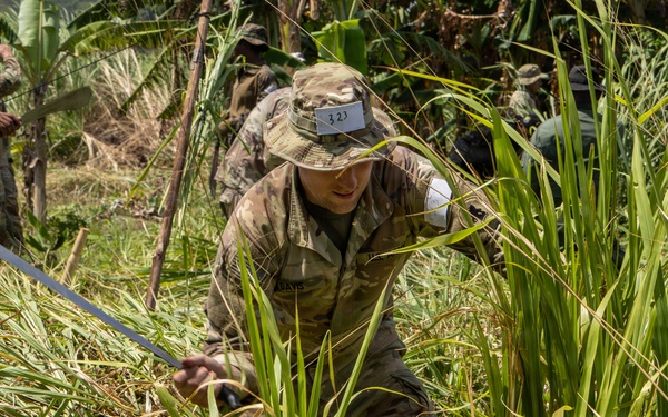 Jungle Operations Training Course - Panama: Machete techniques
