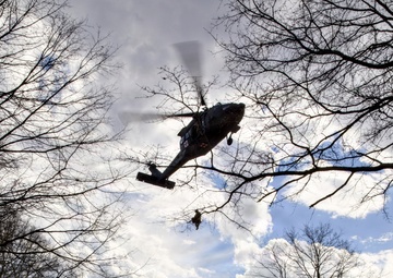 Live Dynamic Hoist Training