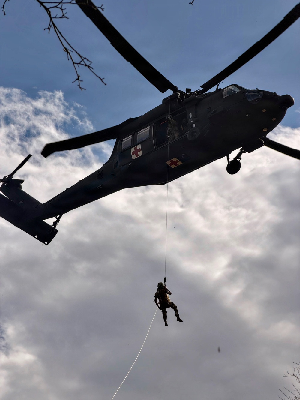 Live Dynamic Hoist Training