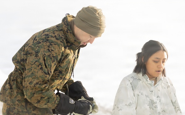 CORE26 | U.S. Marines, Sailors Execute Cold Plunge for Arctic Exercise