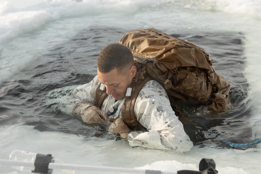 CORE26 | U.S. Marines, Sailors Execute Cold Plunge for Arctic Exercise