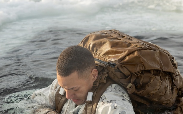 CORE26 | U.S. Marines, Sailors Execute Cold Plunge for Arctic Exercise