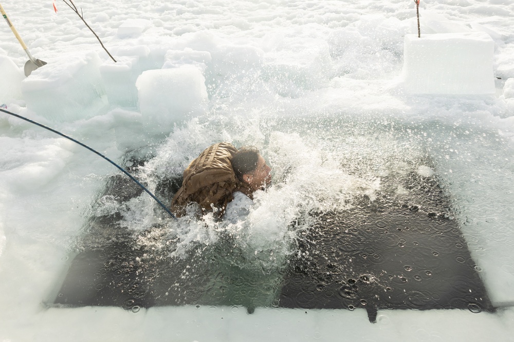 CORE26 | U.S. Marines, Sailors Execute Cold Plunge for Arctic Exercise