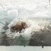 CORE26 | U.S. Marines, Sailors Execute Cold Plunge for Arctic Exercise