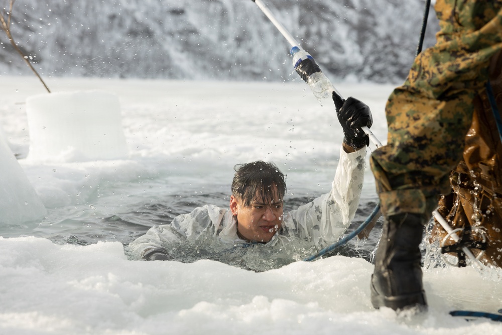 CORE26 | U.S. Marines, Sailors Execute Cold Plunge for Arctic Exercise