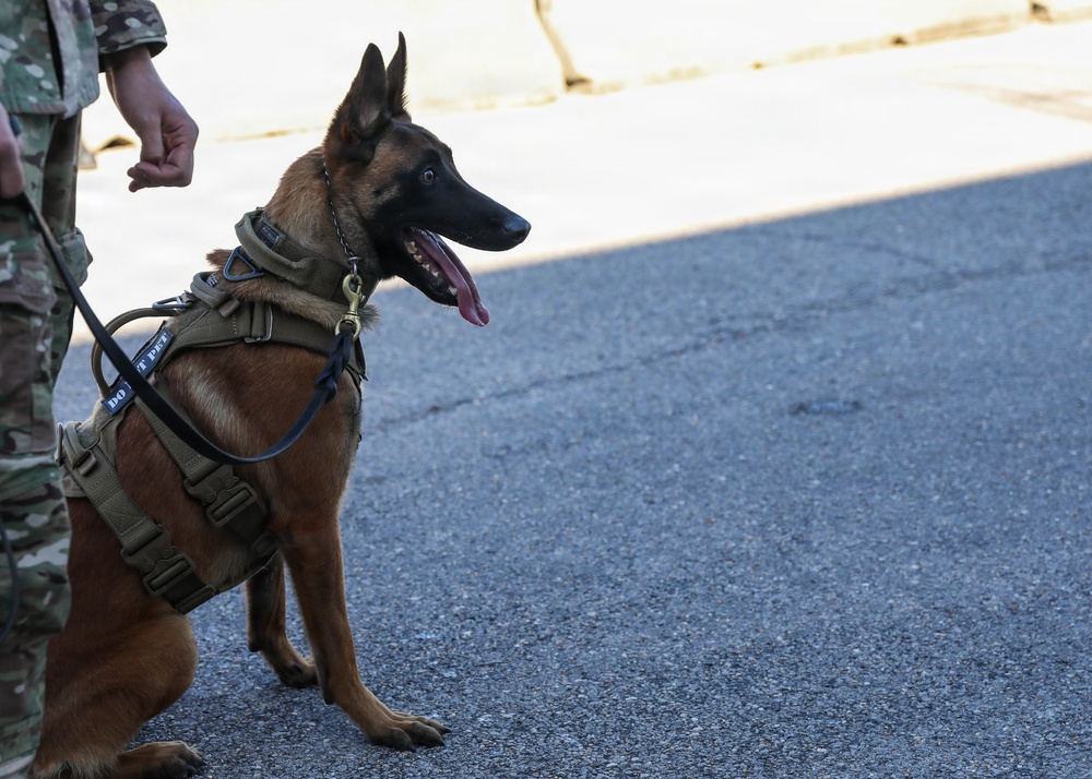 20260313-N-RG171-0153