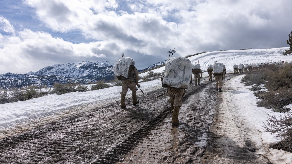 MTX 2-26: Charlie Company, 1st Battalion, 2nd Marine Regiment acclimation hike