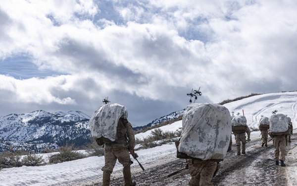 MTX 2-26: Charlie Company, 1st Battalion, 2nd Marine Regiment acclimation hike