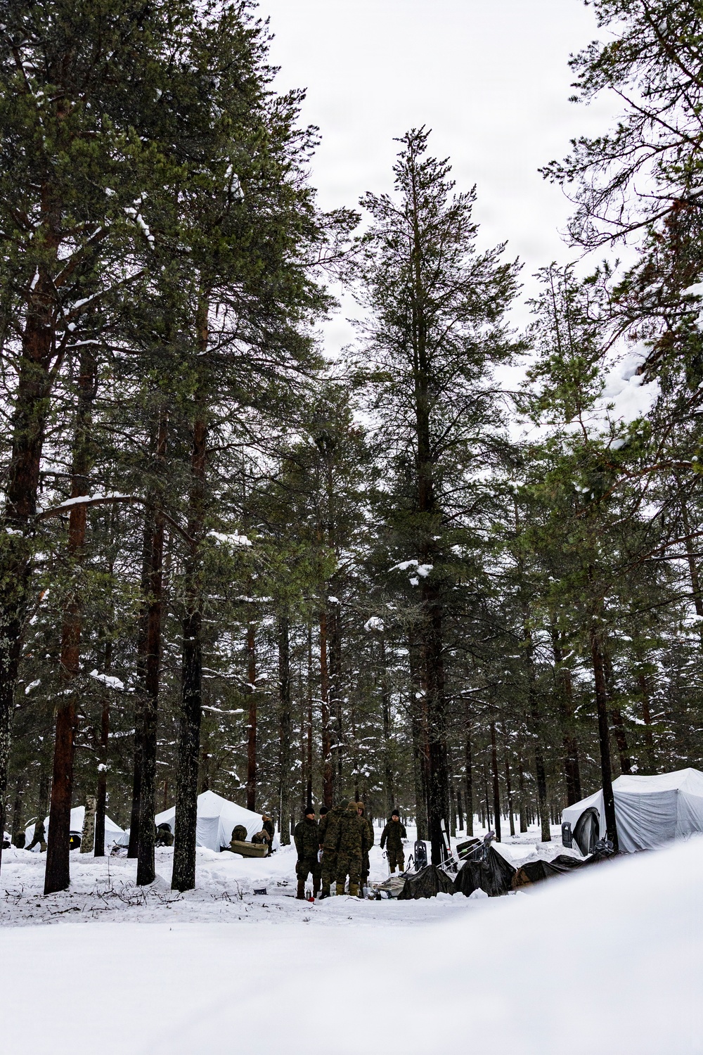 CORE26 | Swedish, U.S. Forces Integrate during Arctic Exercise in Finland