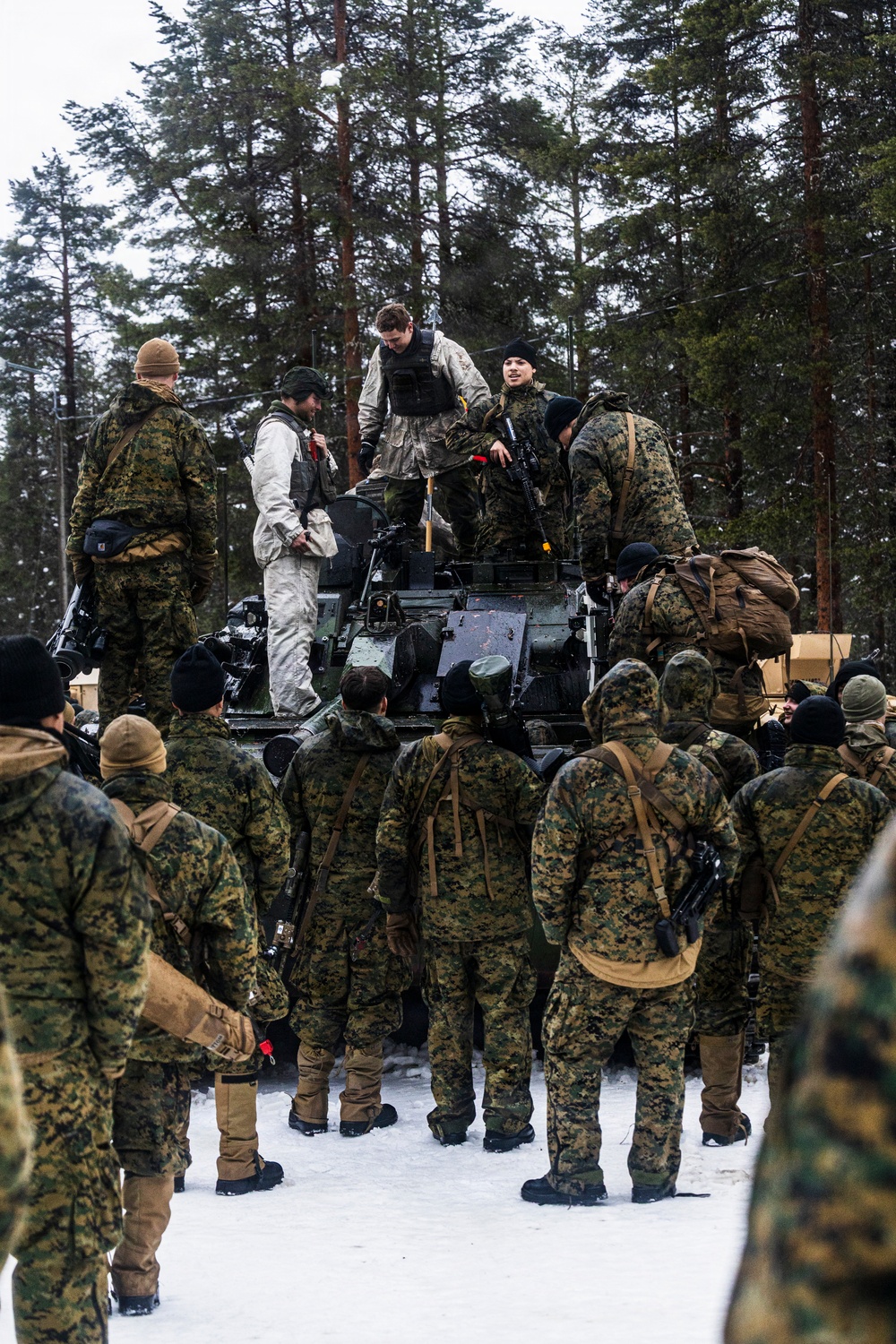 CORE26 | Swedish, U.S. Forces Integrate during Arctic Exercise in Finland