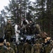 CORE26 | Swedish, U.S. Forces Integrate during Arctic Exercise in Finland