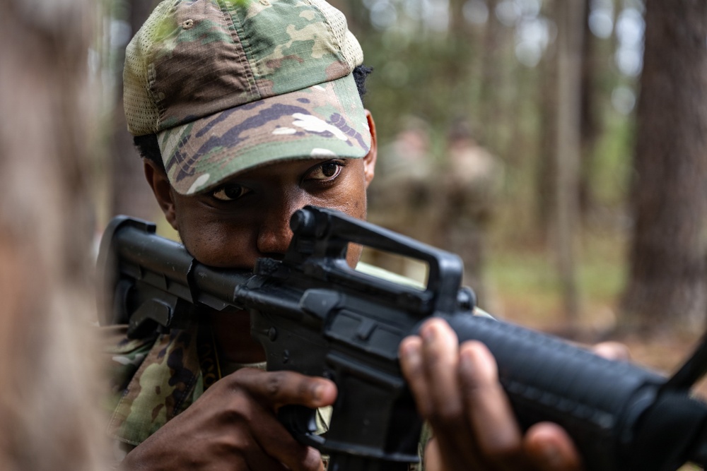 Airmen conduct expeditionary communication training during Scorpion Lens 2026