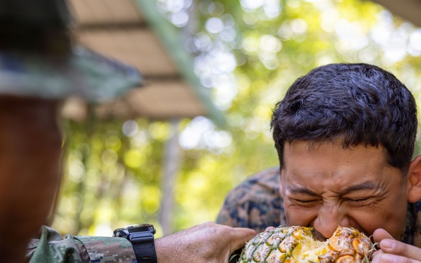 Task Force Ashland Marines Learn Jungle Survival Skills During Exercise Cobra Gold 26