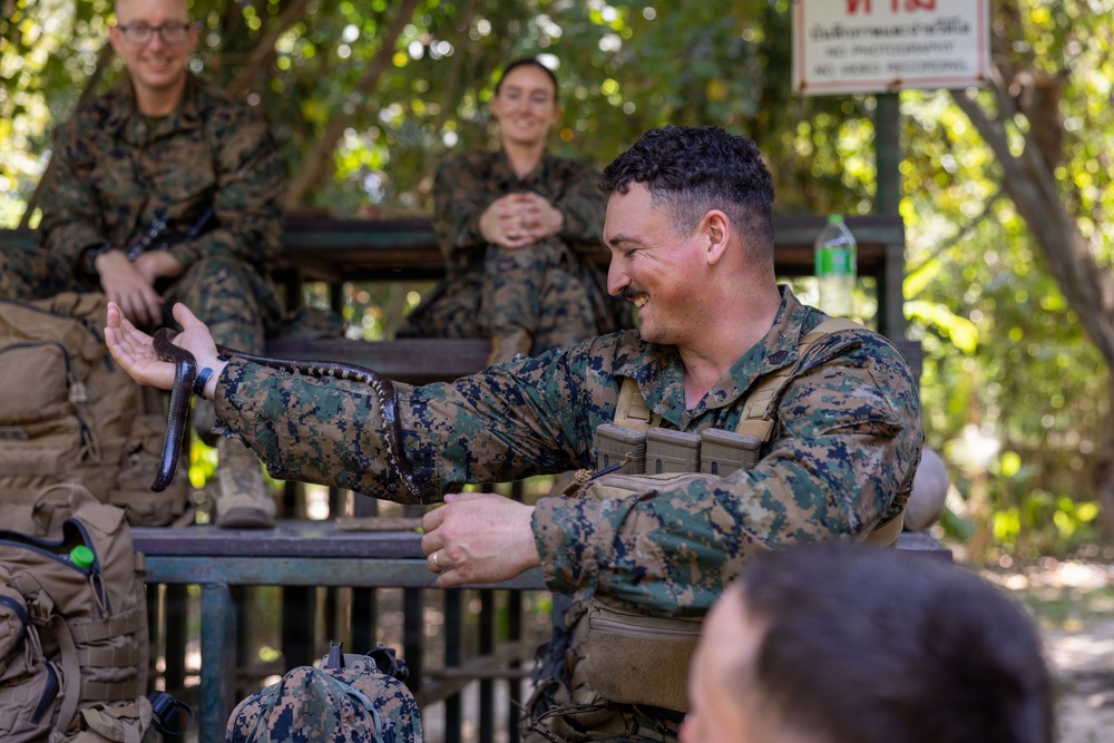 Task Force Ashland Marines Learn Jungle Survival Skills During Exercise Cobra Gold 26
