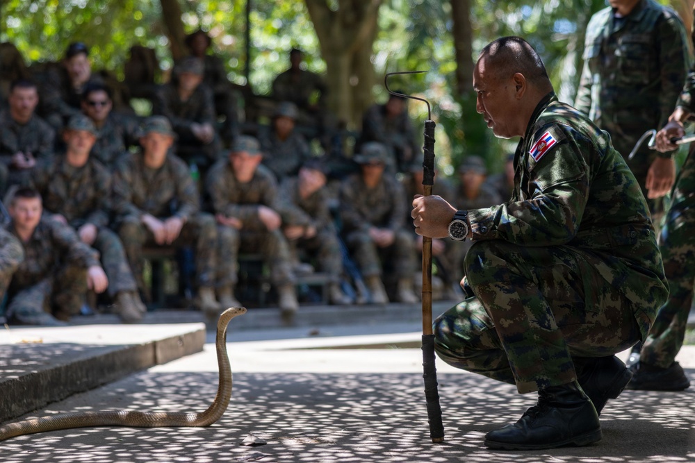 Task Force Ashland Marines Learn Jungle Survival Skills During Exercise Cobra Gold 26