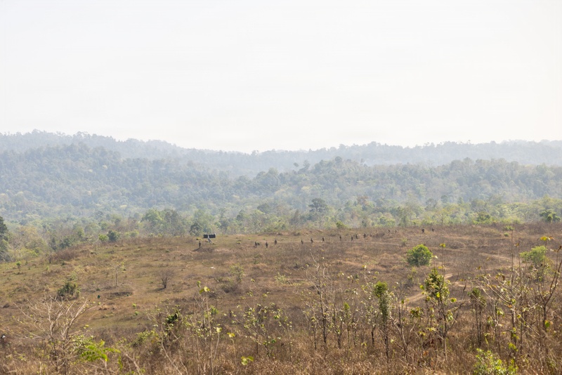 Task Force Ashland Marines Conduct Combined Arms Live Fire Exercise Rehearsal During Exercise Cobra Gold 26