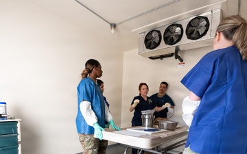 AFMAO unlicensed support technician training