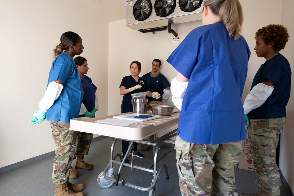 AFMAO unlicensed support technician training