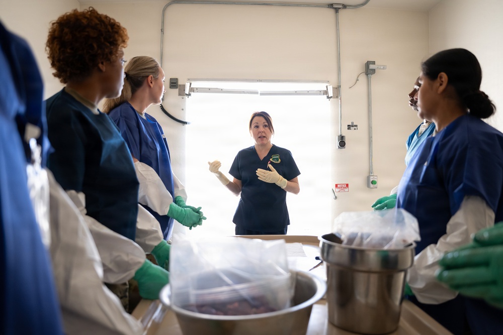 AFMAO unlicensed support technician training