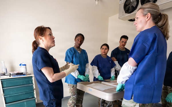 AFMAO unlicensed support technician training