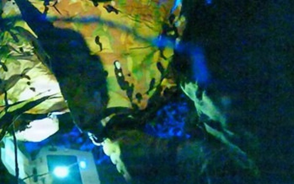 Modernizing Air Force TACP Ground Evaluations