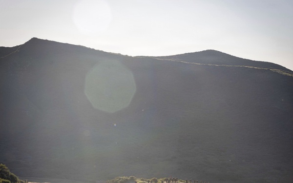 9th Comm Bn Marines conduct conditioning hike