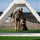Military Working Dogs