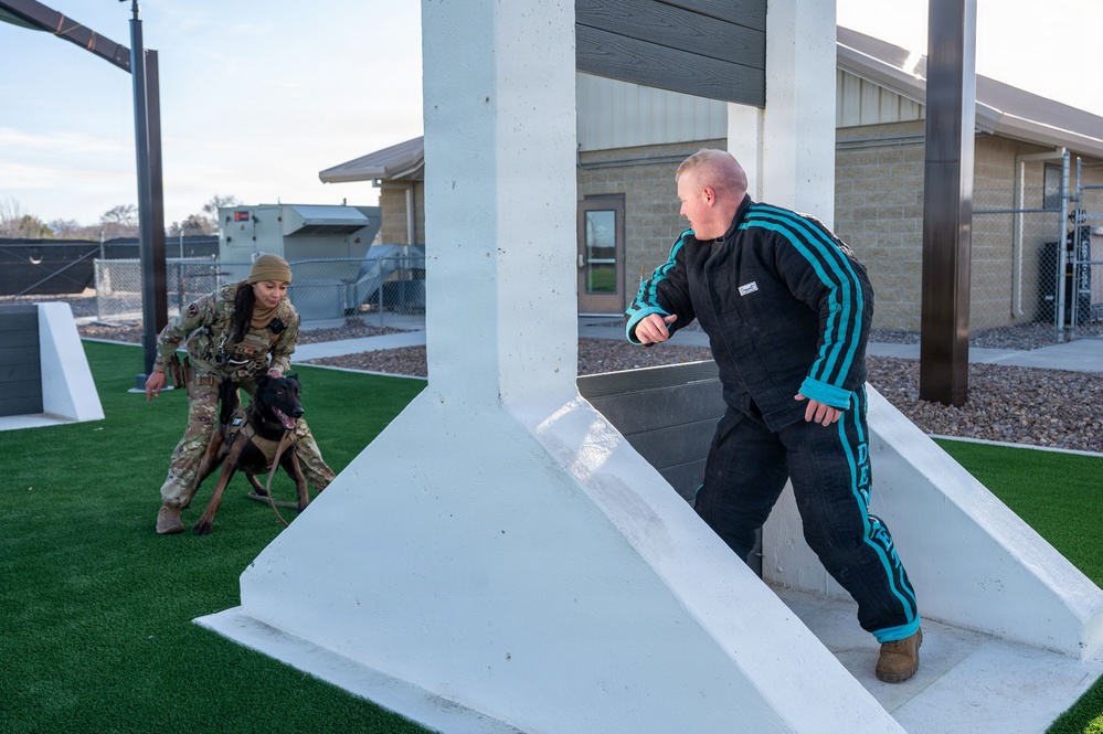Military Working Dogs