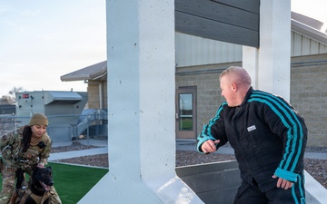 Military Working Dogs